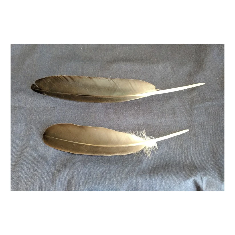 Высокое качество дешевые красочные гусиное перо для декоративных