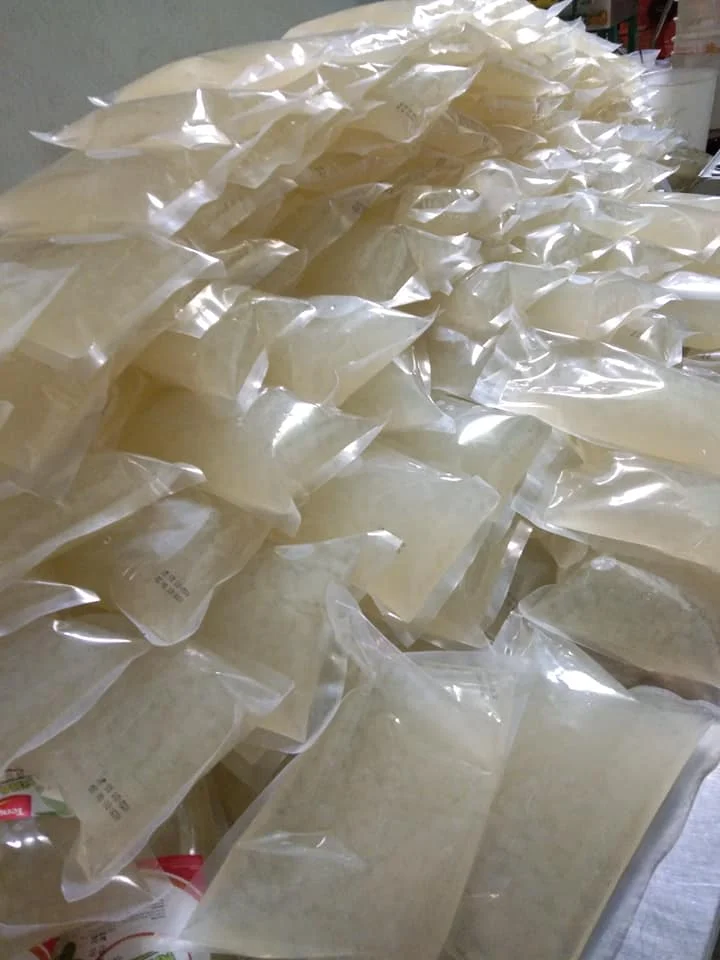 Dried Coconut Jelly Raw Nata De Coco