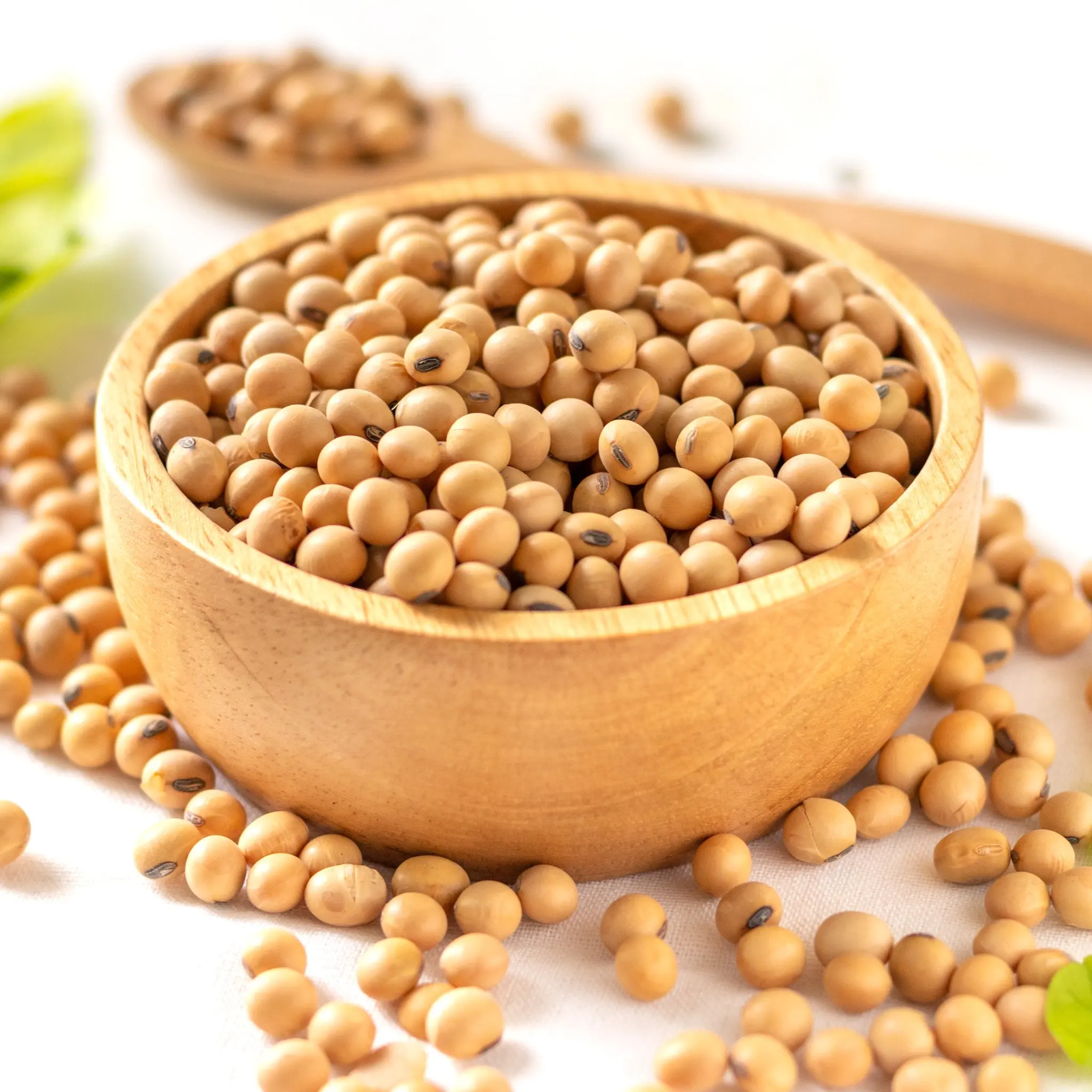 TOP QUALITY NON GMO SOYBEANS SEED / YELLOW SOYBEANS DRIED IN BULK
