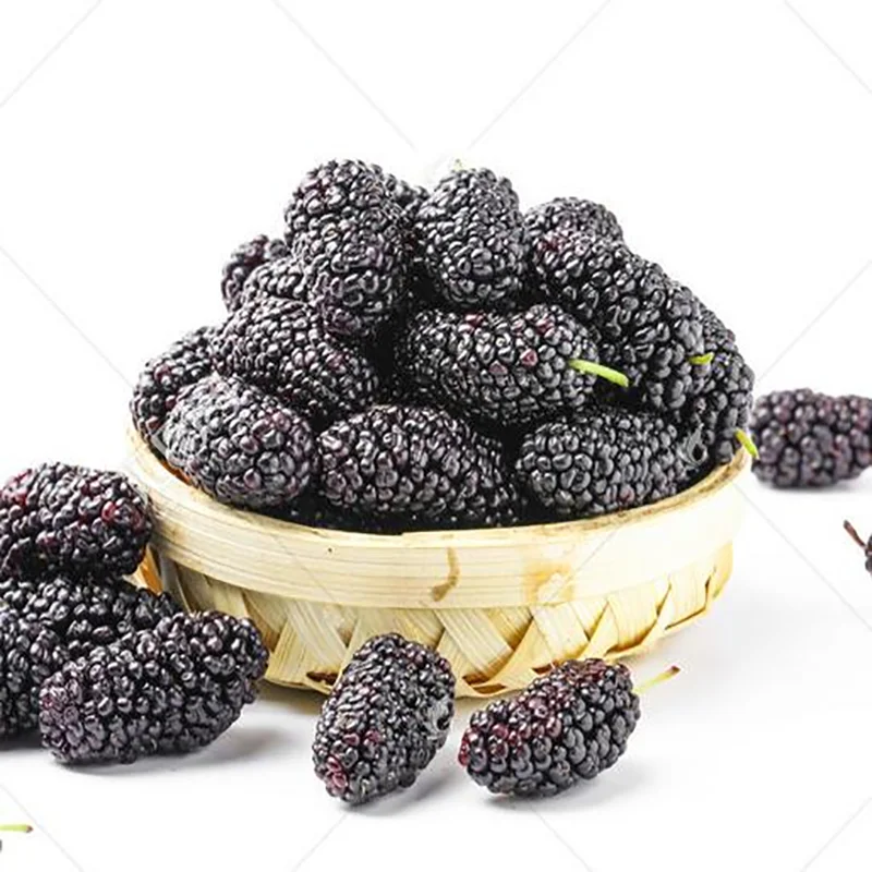 Good quality Food Grade Concentrated Extract Fruit Flavor Apple Fiber Powder