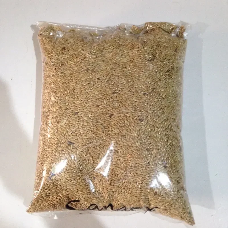 Buy Wholesale Canary Seeds Price /Canary seeds for birds