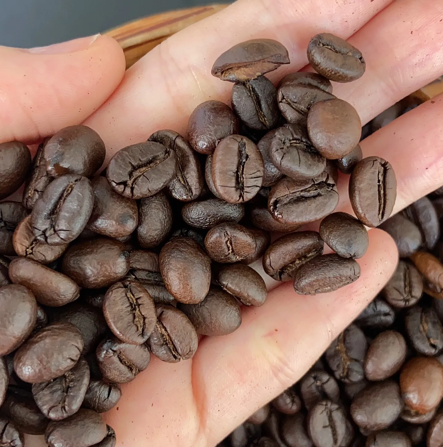 Roasted Coffee Beans Grade 1 Premium Whole Bean from Vietnam