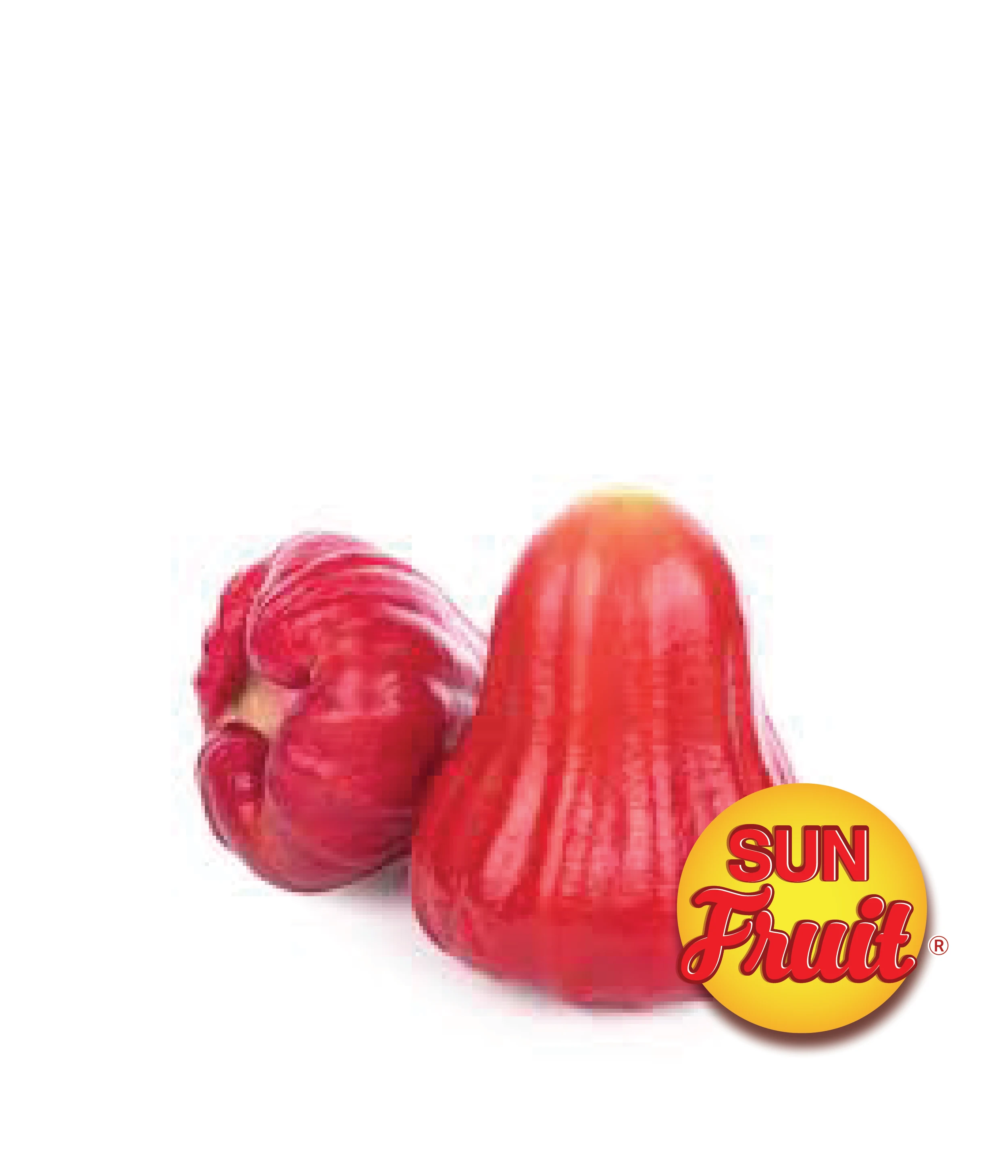 Dried Roseapple Best Price 2023