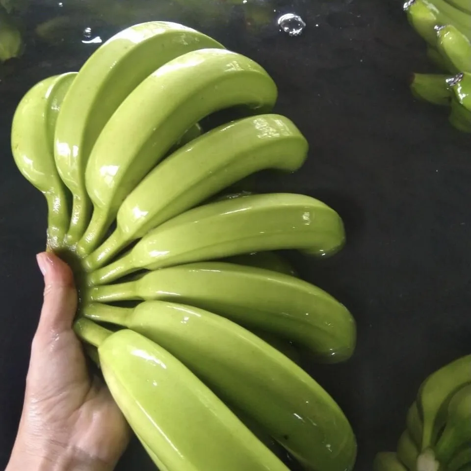Wholesale Good Quality Competitive Price Delicious Flavour FRESH CAVENDISH BANANA From Viet Nam