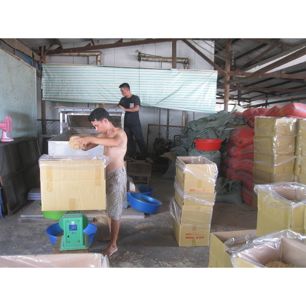 Wholesale High Quality OEM Factory Raw Dried Shrimp Vannamei Shrimp Export Low MOQ From Vietnam