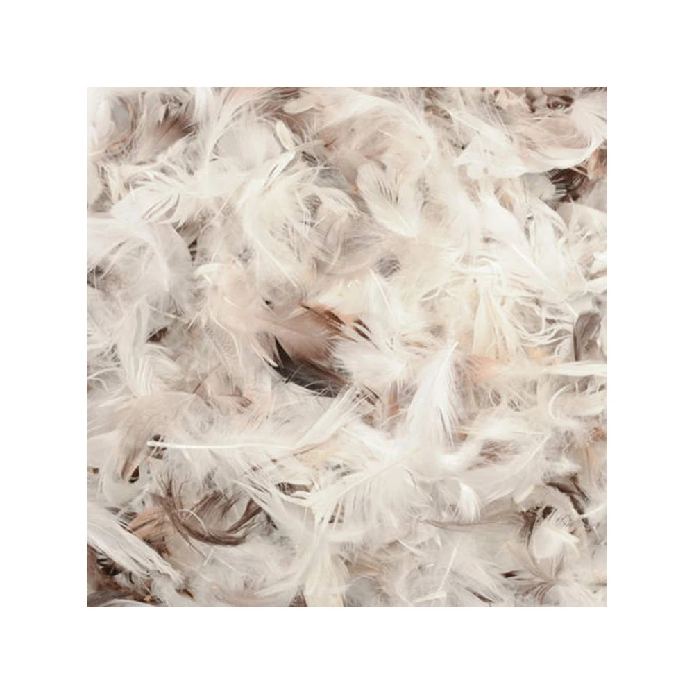 Premium Washed Duck Feather Filling for Bedding Cushions and Upholstery Soft Hypoallergenic and Durable with Wholesale Price