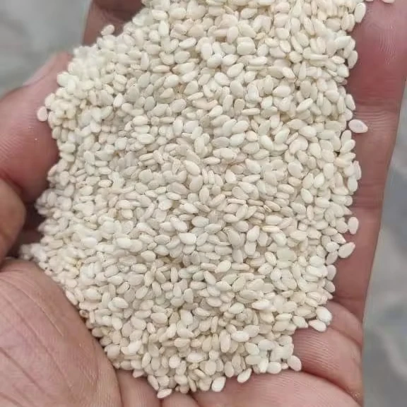 Sesame Seeds For Sale +27739729209