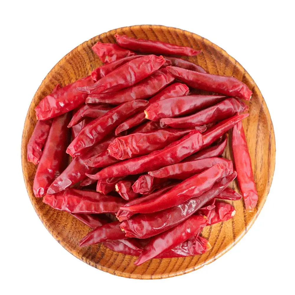 Top Product 100% Pure Dried Chili Best Natural Hot Dry Red Chili Top Quality Dried Red Chili Factory Price