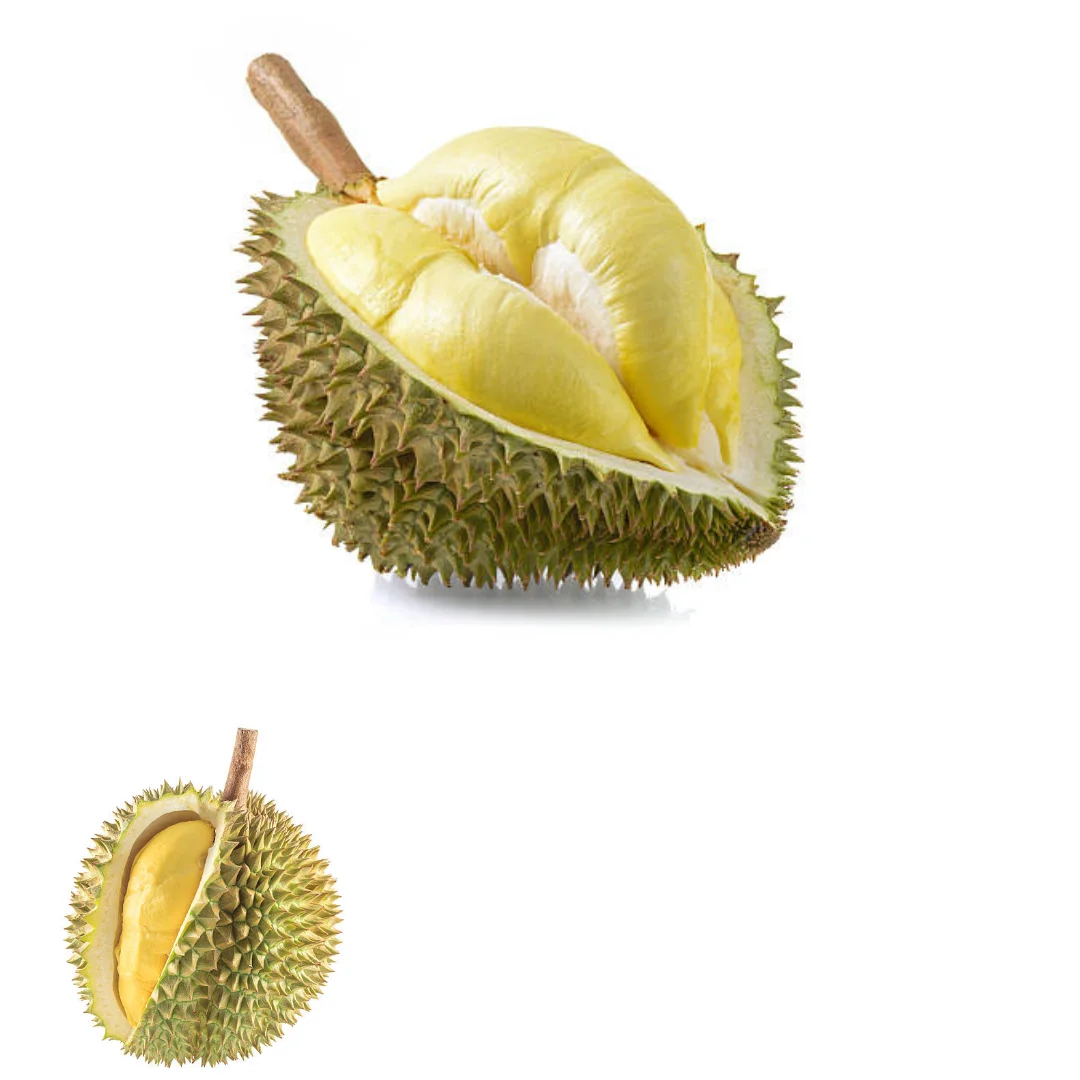 Wholesaler Fresh Durian Monthong Fresh Durians Organic Packed In Box Vietnam Manufacturer, King Durian Frozen Durian