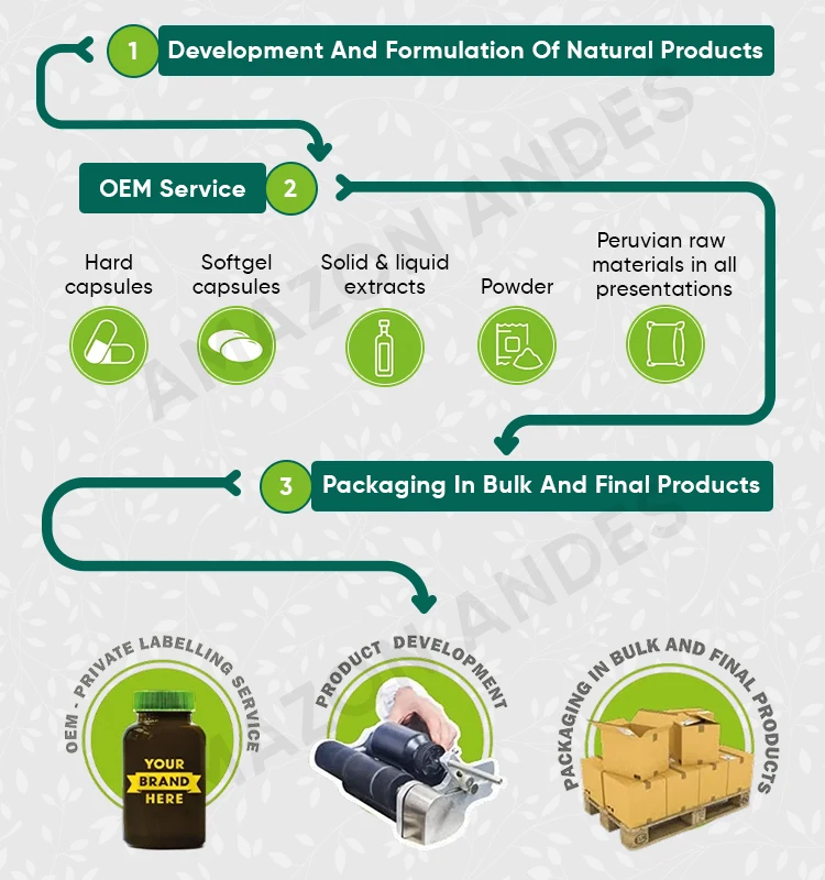 Our-Processes-&-Services.jpg