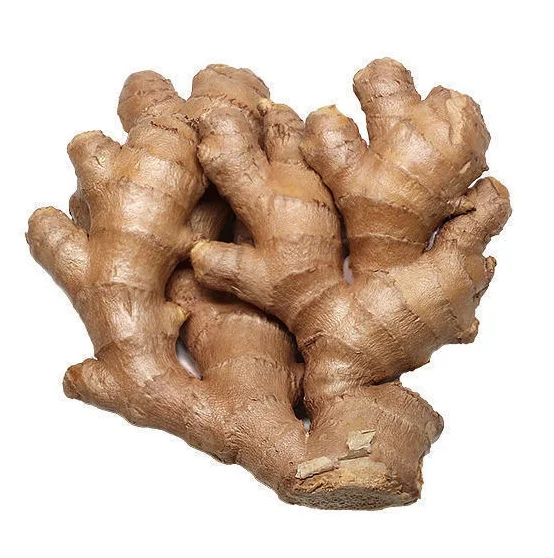 Best Quality Low Price Bulk Stock Available Of Wholesale Organic Fresh Ginger For Sale At Low Price Bulk Stock For Export World