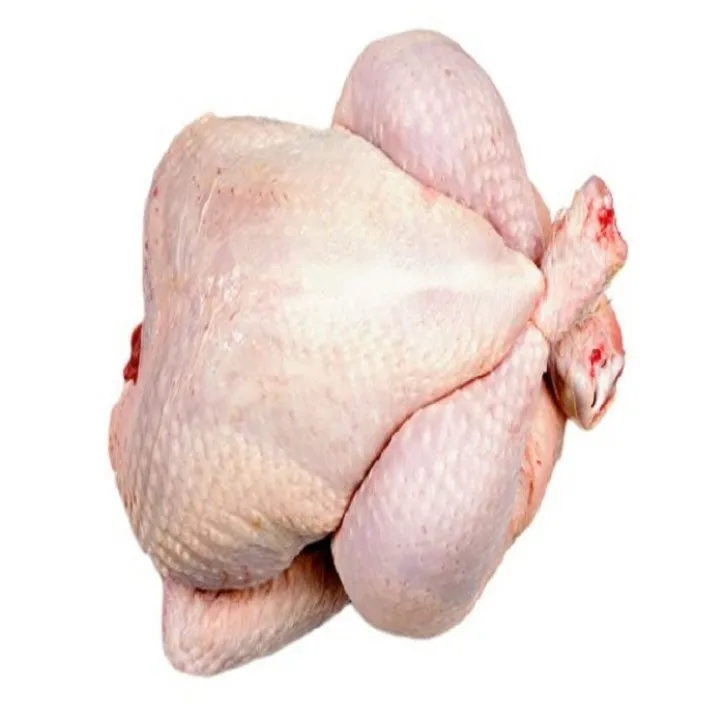 Best Quality Healthy and Natural Whole Chicken Halal Frozen From Turkey Poultry Meat with Customize Pack