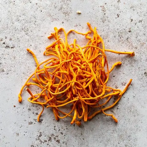 Поставка, Органическая дешевая цена, драгоценные продукты, сушеные кордицепсы, милитари, упаковка грибов цветов, грибов, 500 грамм