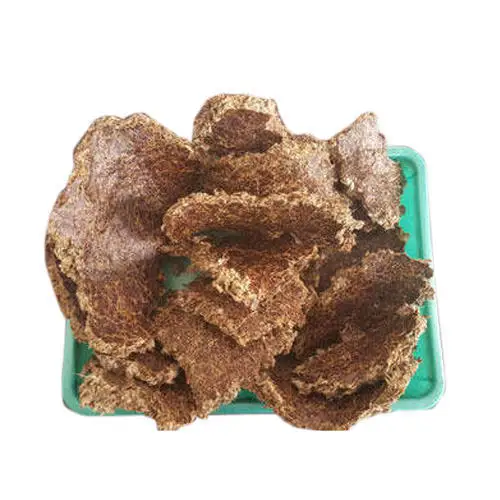 High Protein Cotton Seed Oil Cake For Export