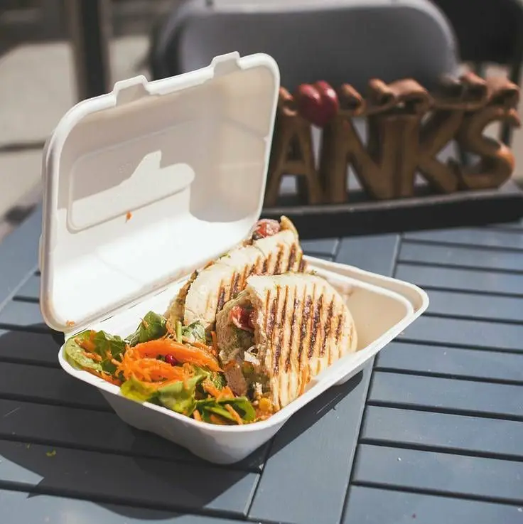 Eco Friendly Bagasse Clamshell | Disposable Bagasse Containers, High Quality Takeaway Boxes | Bagasse Tableware