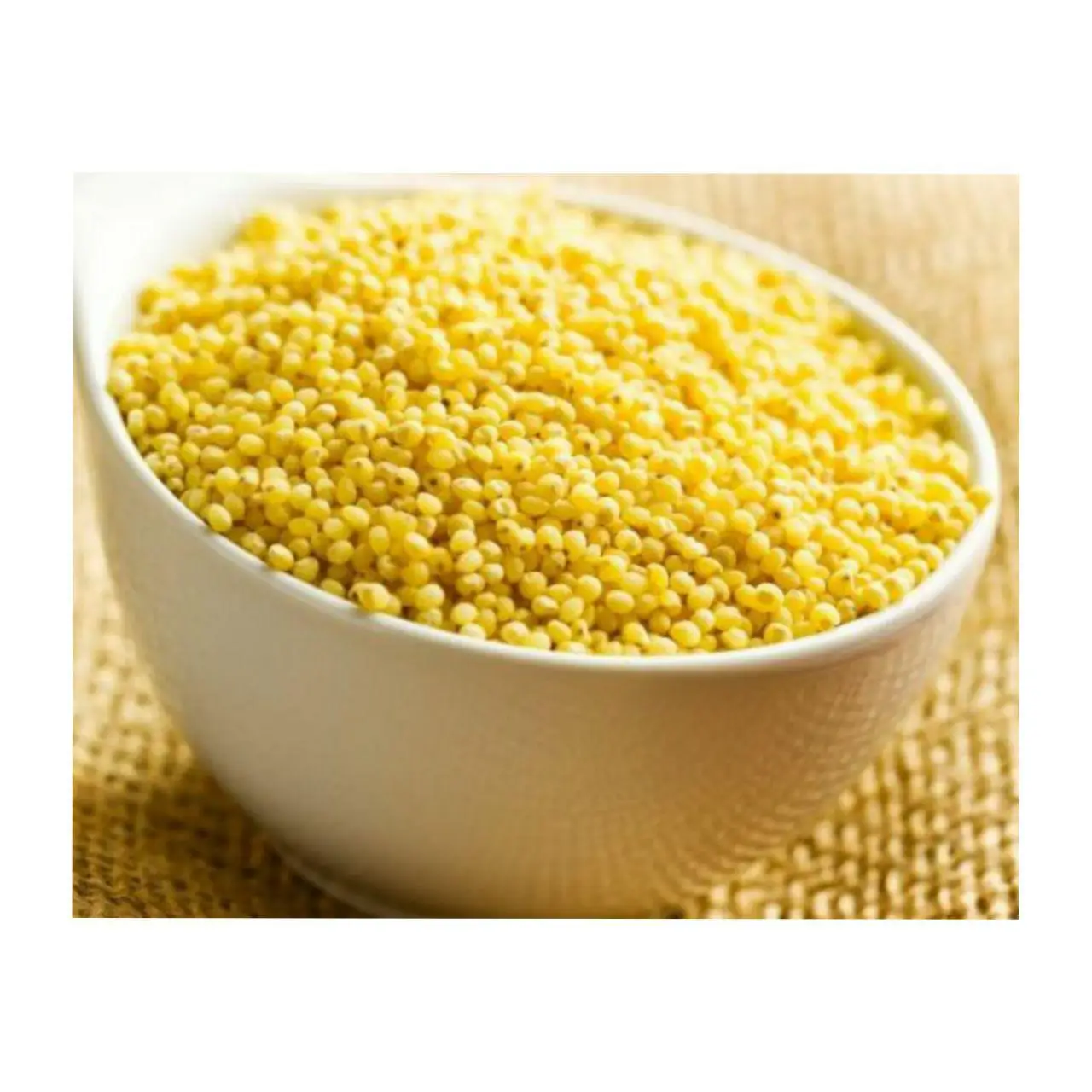 Good Supplier Lower Price Yellow or CH5 Sorghum