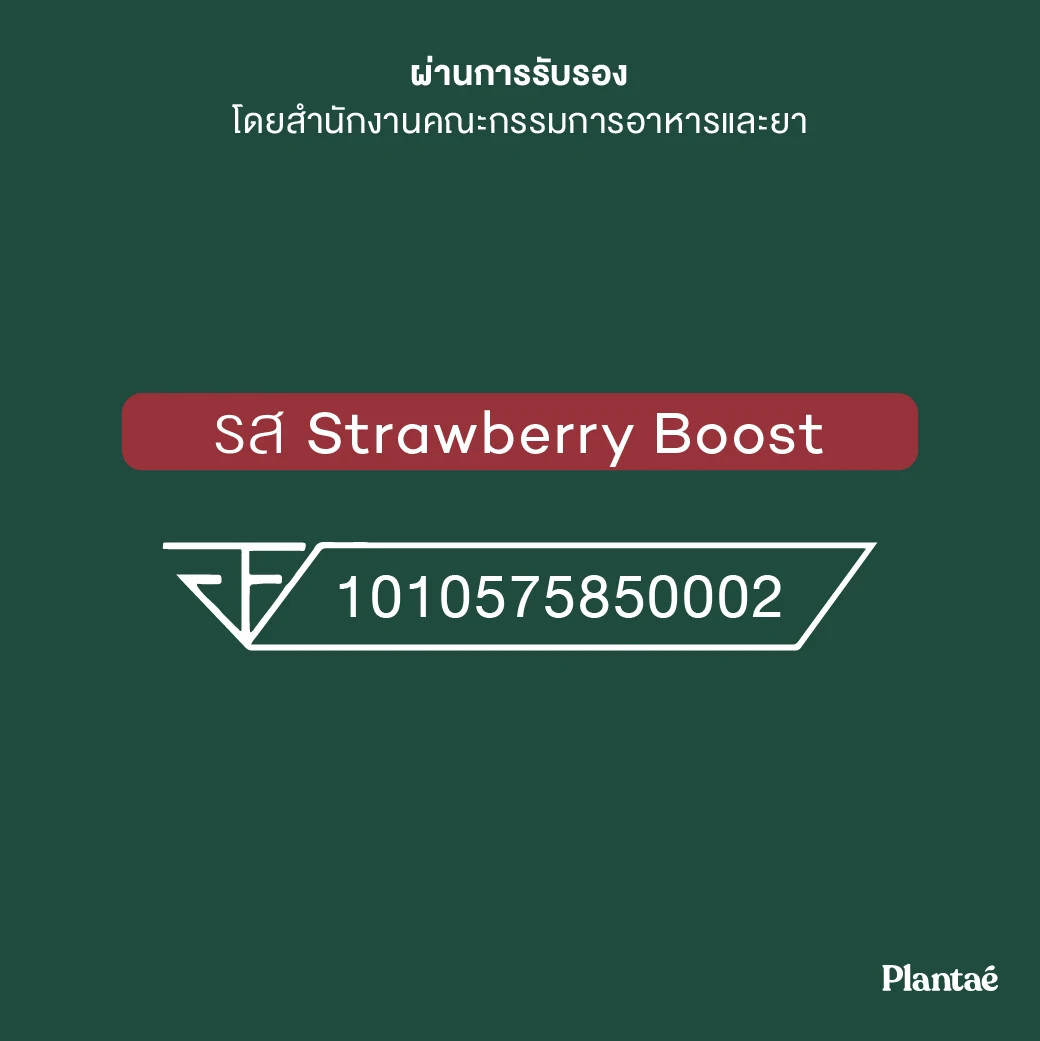 Recommended High Quality Complete Plant Protein + Collagen Booster Strawberry from Thailand