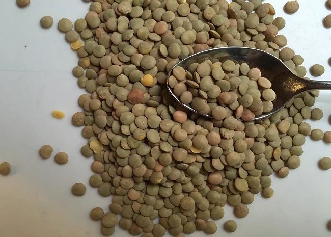 Whole Lentils Split Lentils