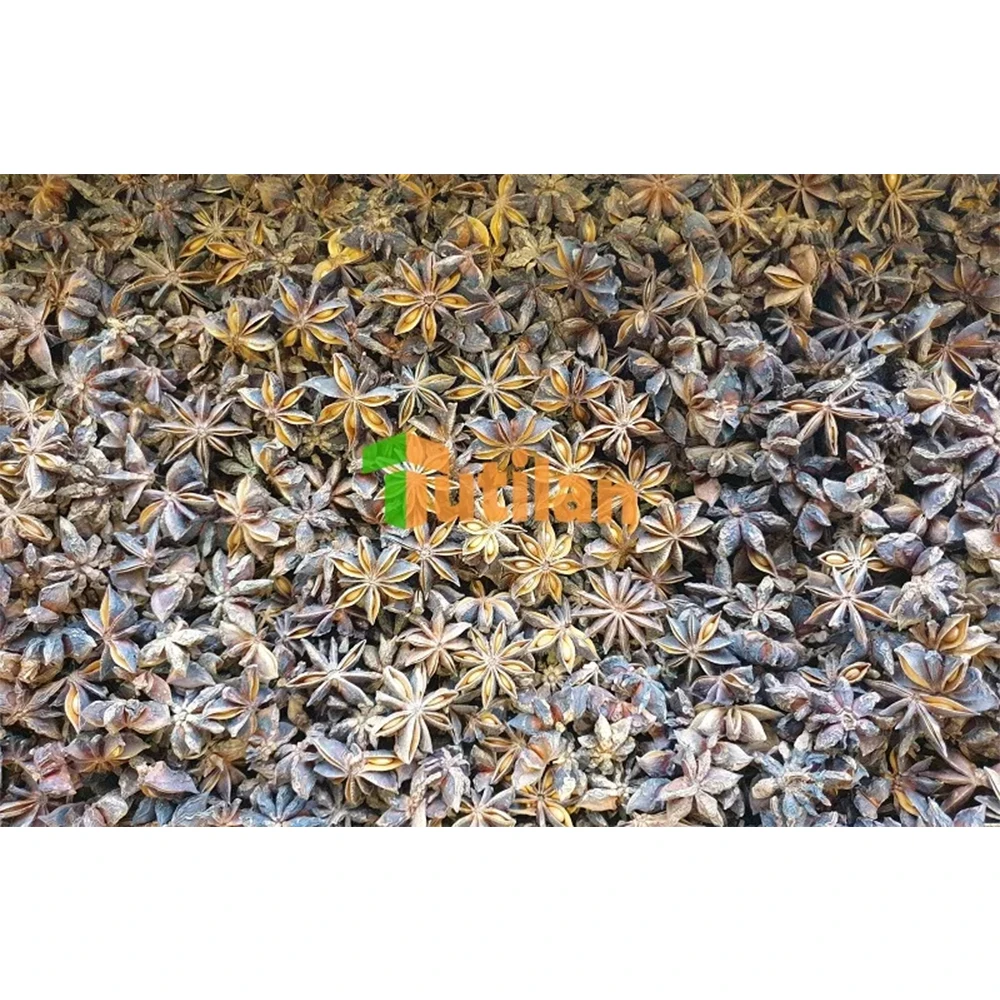 FACTORY WHOLESALE LOWEST PRICE AND BEST QUALITY SPICES AND SEASONING ANISE STAR VIETNAM