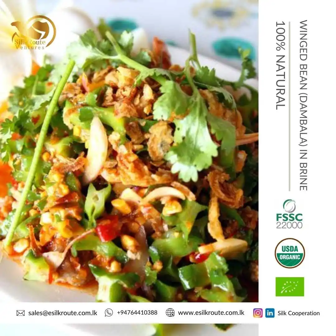 Rich in Vitamin and Protein 100% Pure Natural Organic Canned Winged Bean (Dambala) in Brine at Wholesale Price