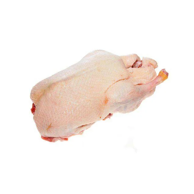 Halal Frozen Whole Duck/ Frozen Duck Feet and Duck