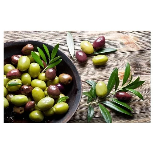 Best Quality Fresh Green Olives