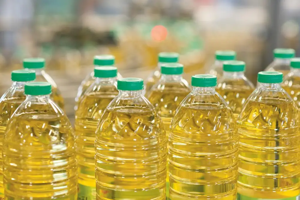 oil15