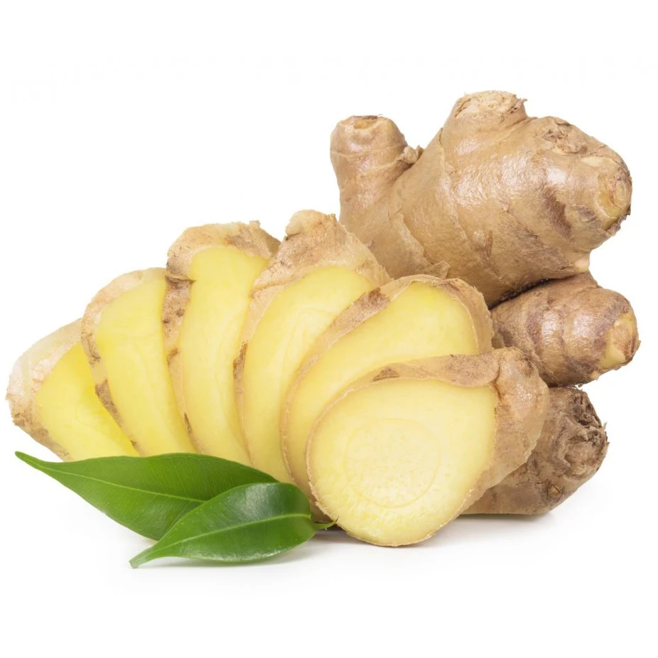 Typical hot spicy oil content 1 To 4% Old Ginger Fresh ginger With Weight 100gr 150gr 200gr 250gr