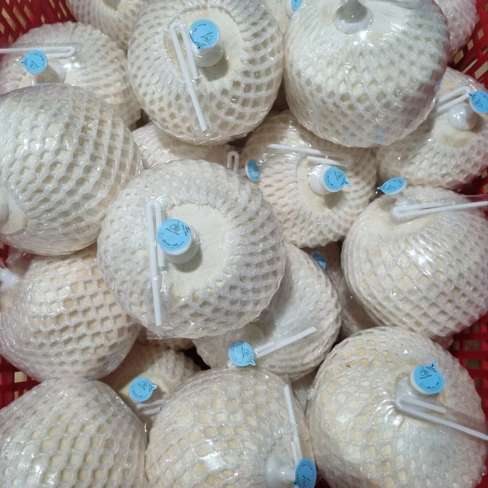 Tropical Coconut Water Refresh Fruit Juice From Vietnam / Fresh Young Coconut Diamond Shape For Summer Drink