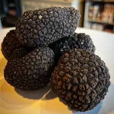 Премиум дикий черный трюфель свежий и ароматный гриб для гурманов | Редкий деликатес