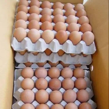 Best Quality Hot Sale Price White / Brown Shell Fresh Table Chicken Eggs From Belgium Supplier