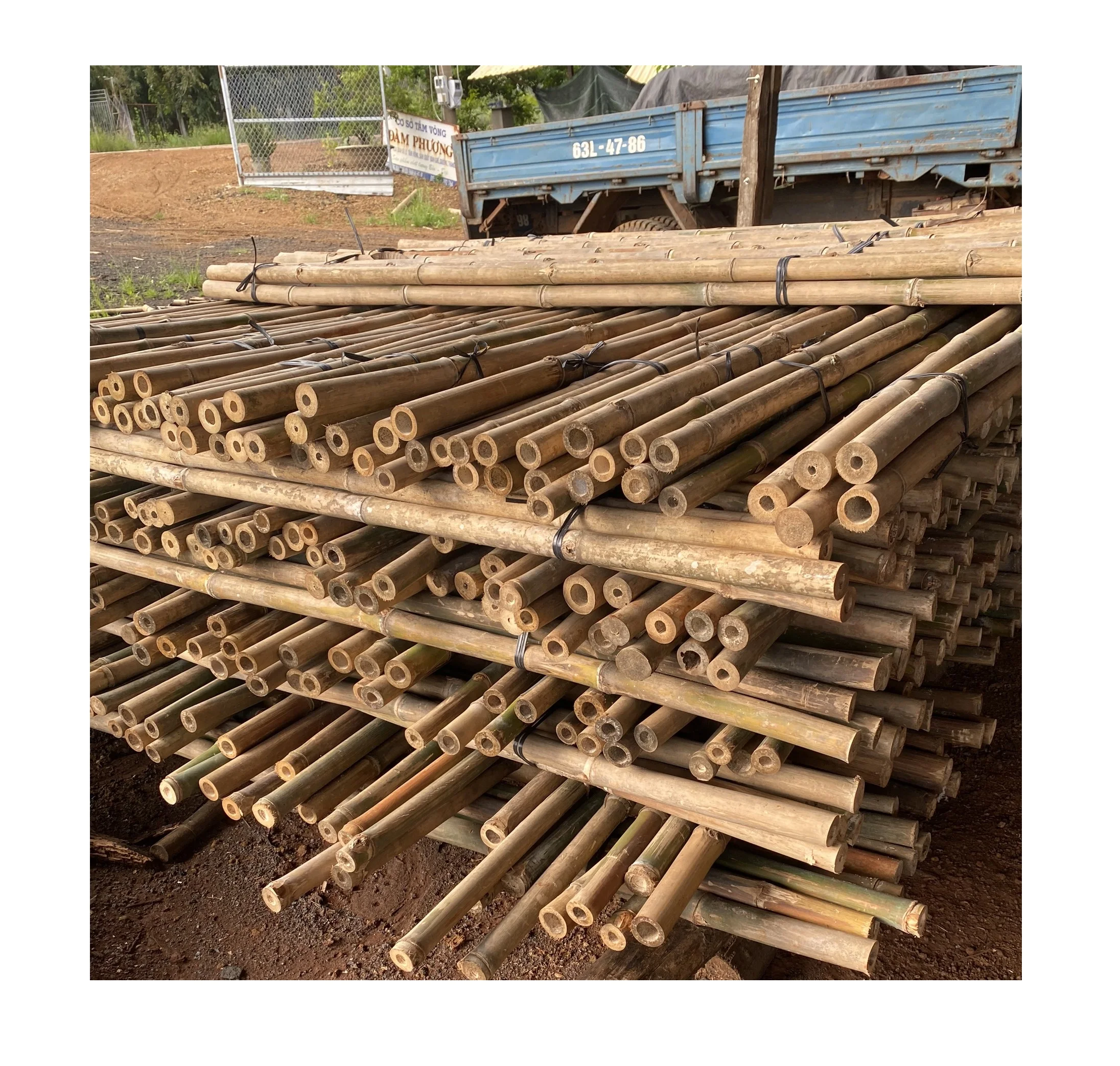 Высококачественные бамбуковые палки из Вьетнама для экспорта-бамбуковые изделия Лидер продаж 2024 по низкой цене