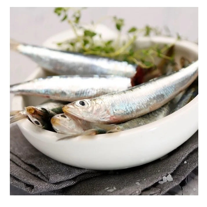 Hot Selling Price Frozen Sardines Fish in Bulk