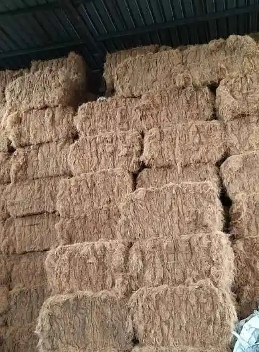 Coconut fiber good quality, home outdoor garden flower , ornamental tree plant soil seed