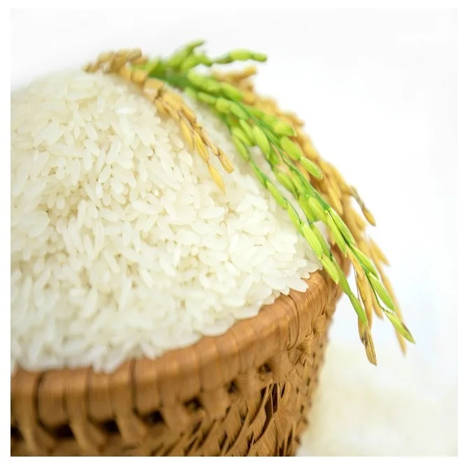 Long grain white rice 5% broken wholesale high quality professional manufacture
