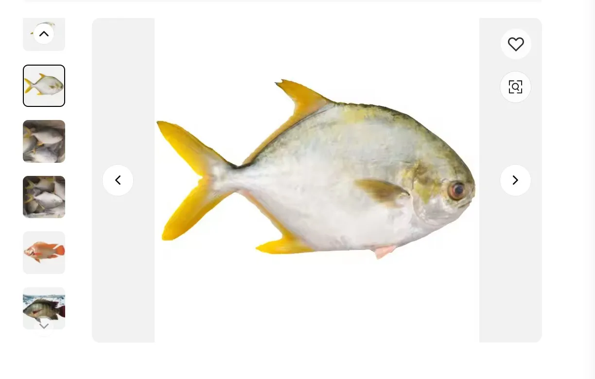 Pomfret whole round frozen golden pompano seafood 6 edition