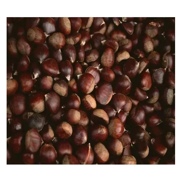 Chestnut Kennel Raw Fresh Chestnuts Organic Fresh Chest Nuts Peeled Roasted Kernels Low Price Quality premium Fresh Chestnuts