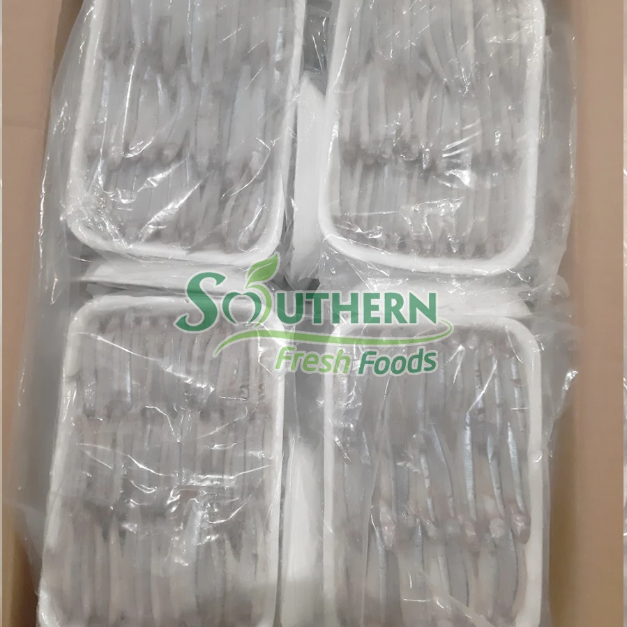 Bulk Sales Sea Fish Size process IQF Wild Caught SFF weight packaging anchovy Frozen Blue Anchovy from Vietnam