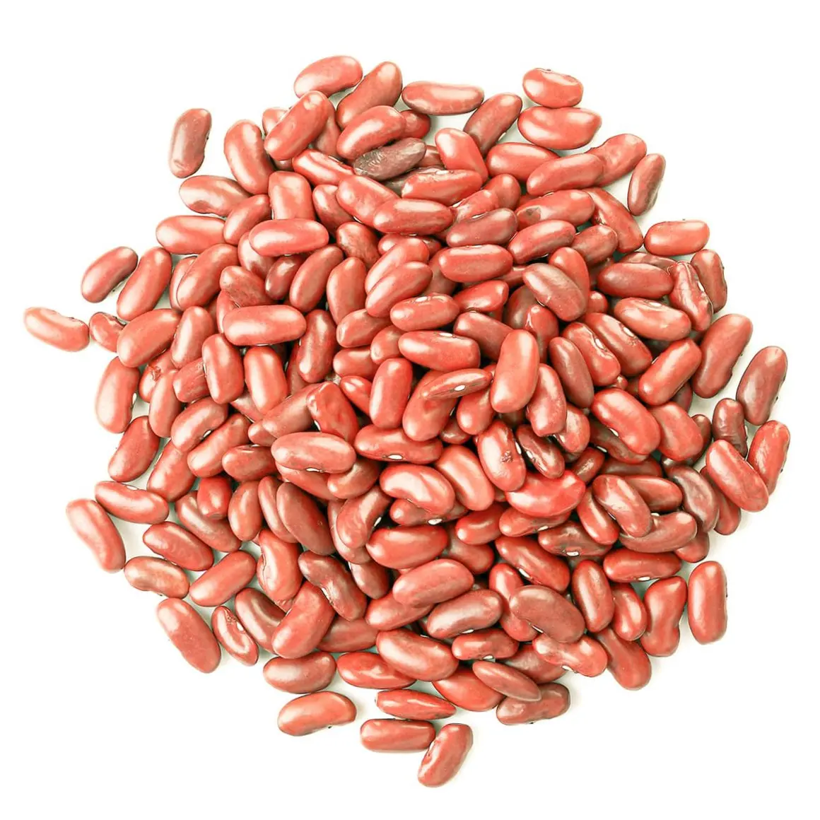 Red beans for sale in bulk supply high quality pure organic Red beans for cooking and healthy food options