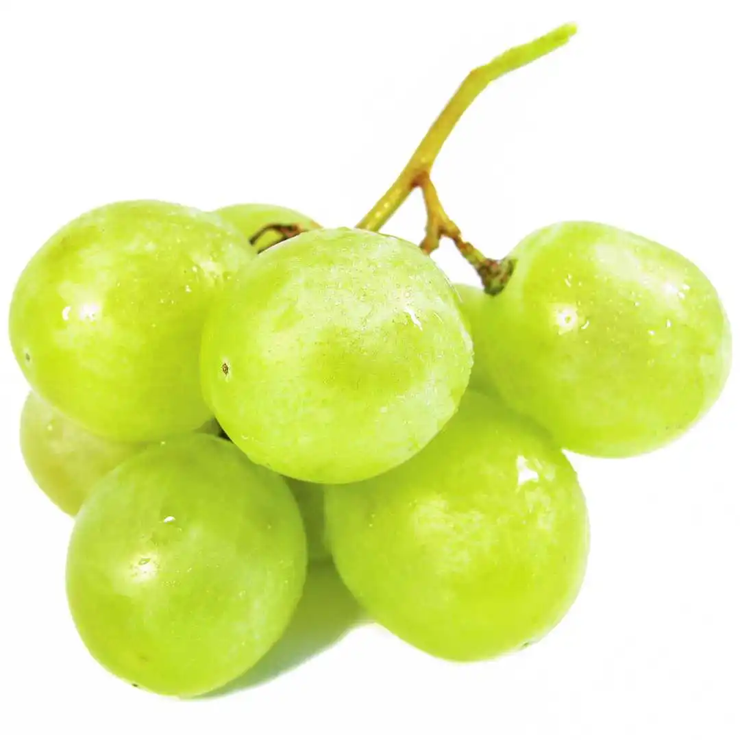 Export Quality Sweet Green Grapes with Good Sweet Content and Flavorful Available at Wholesale Price from Indian Exporter