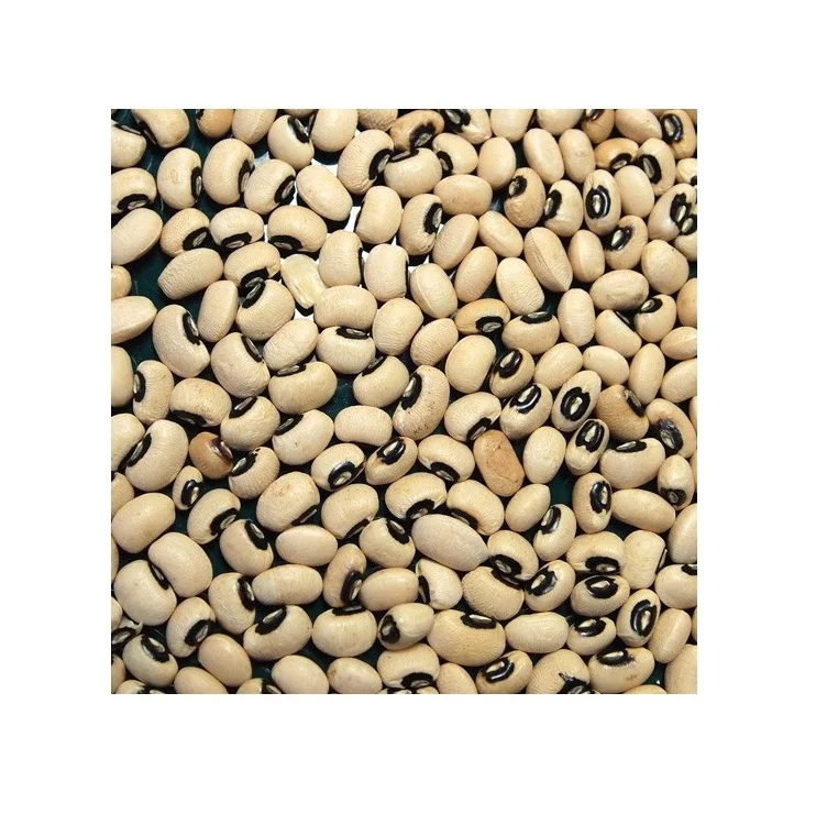 Cheap Price Supplier From Germany Ukrainian Black Eye Beans / White Cowpea Bean / Vigna beans At Wholesale Price With Fast Shipp