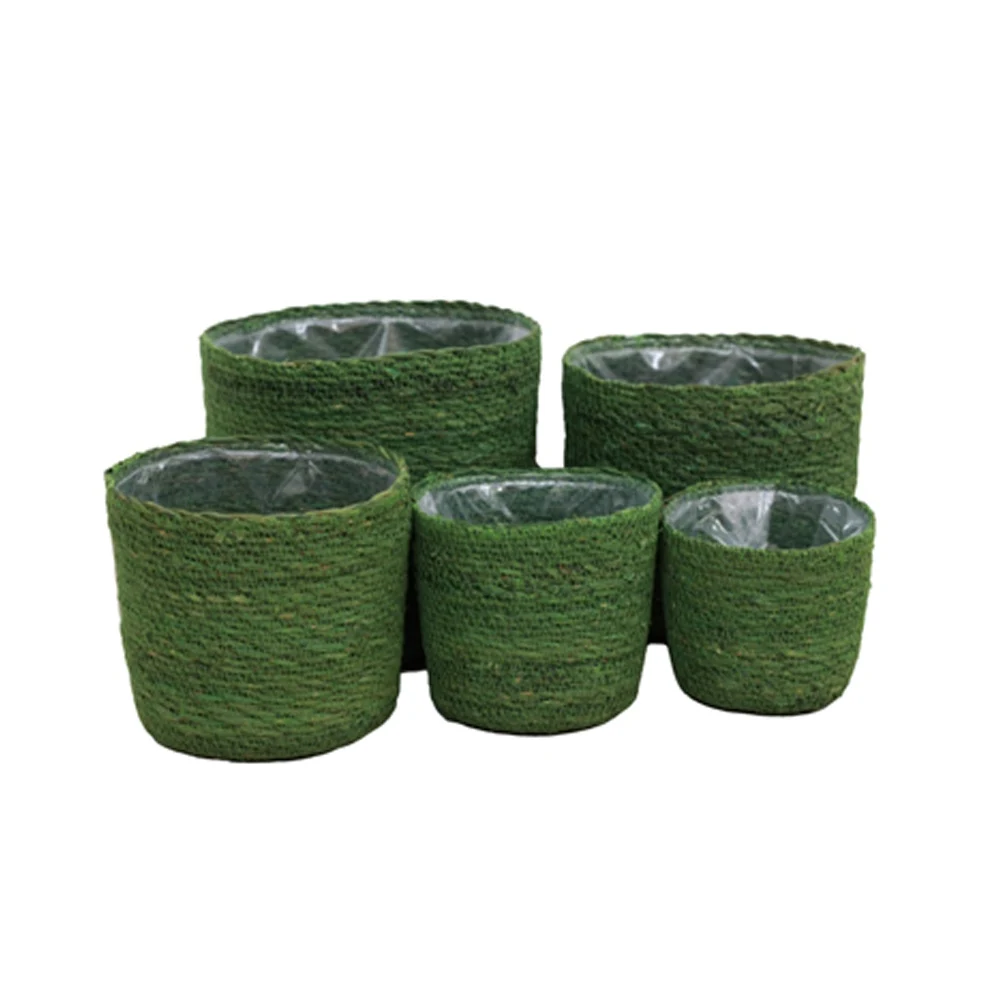Seagrass Round cylinder Baskets set for Organizing wicker storage basket for outdoor and indoor decoration