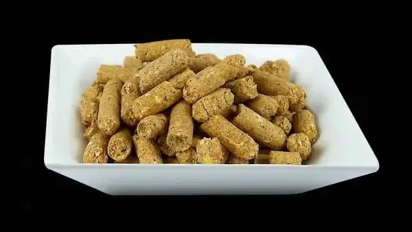 Premium Grade Teff Grains / Teff Flour