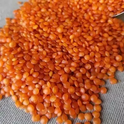 Quick Sale Bulk Dried whole split Lentils Red Lentils Green Lentils Lentils(Red, Green, black and white)