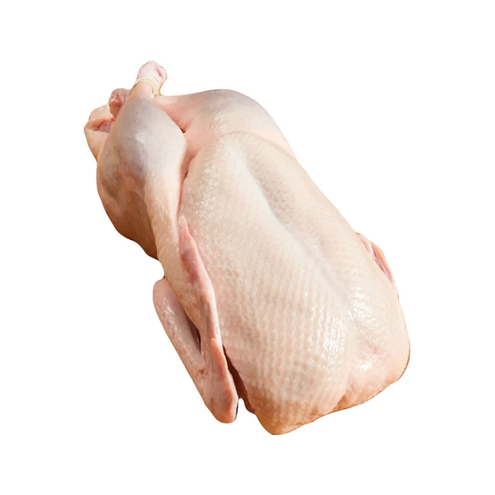 Wholesales  Frozen Duck Meat For Export