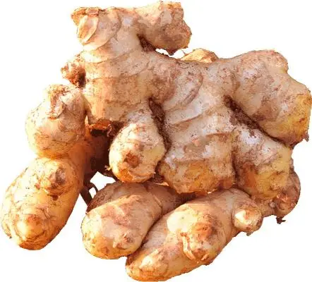 Оптовая продажа свежего сырья оптом многофункциональный вкусный консервированный суши имбирь ломтик белого Маринованного имбиря.