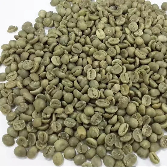 ROBUSTA и ARABICA зеленые кофейные зерна по лучшей цене от VIET NAM MS Emily + 84964660879