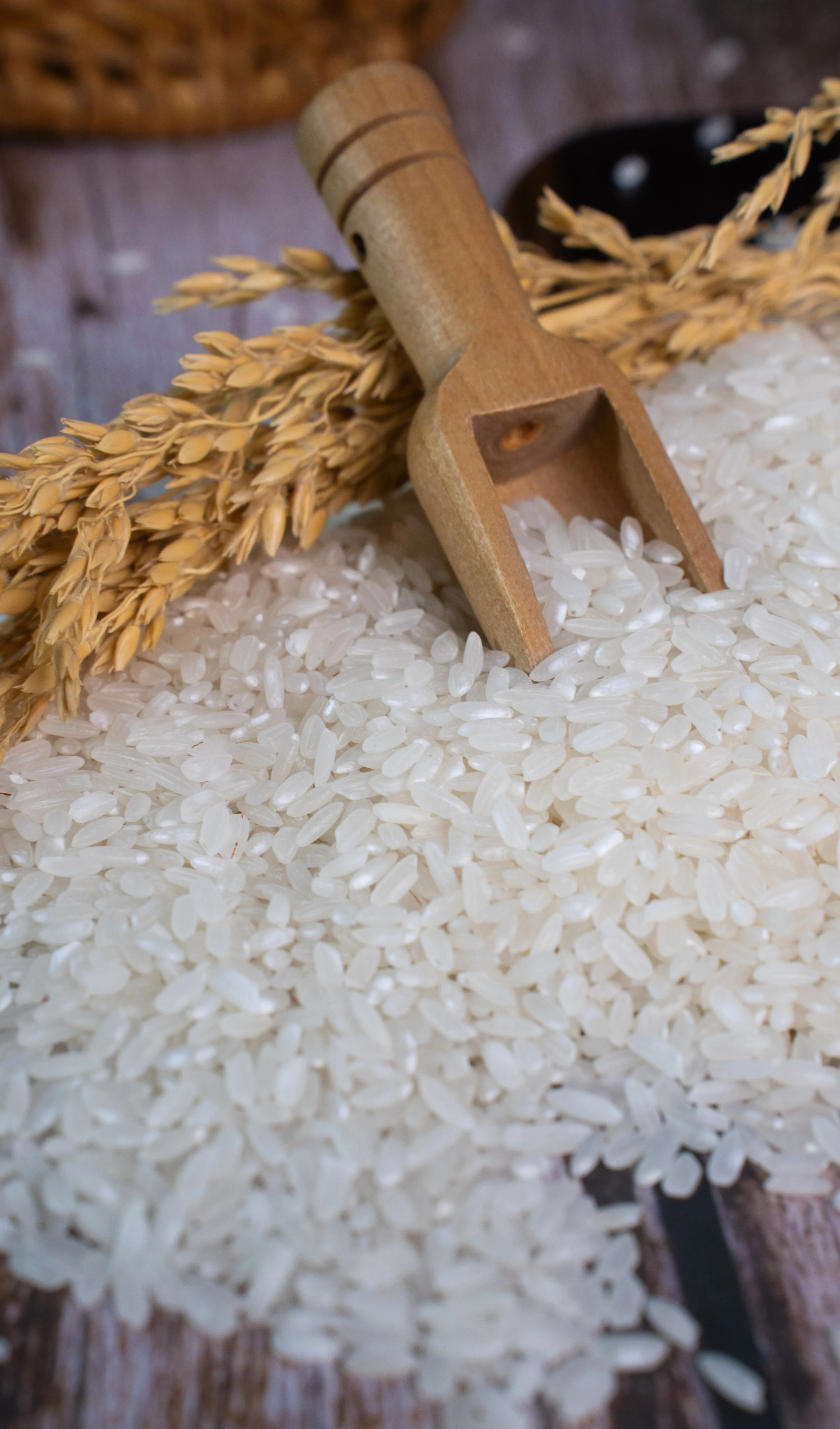 High-Quality Short Rice - Medium Grain, 100% Pure Silky Sortex Clean From Vietnam, Vietnamese Rice