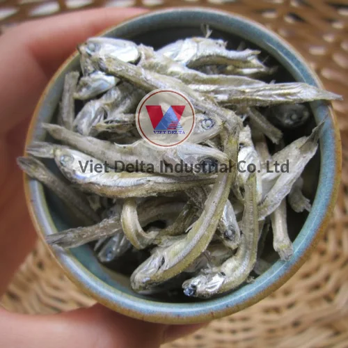 BEST PRICE DRIED SALT ANCHOVY EXPORT FROM VIETNAM