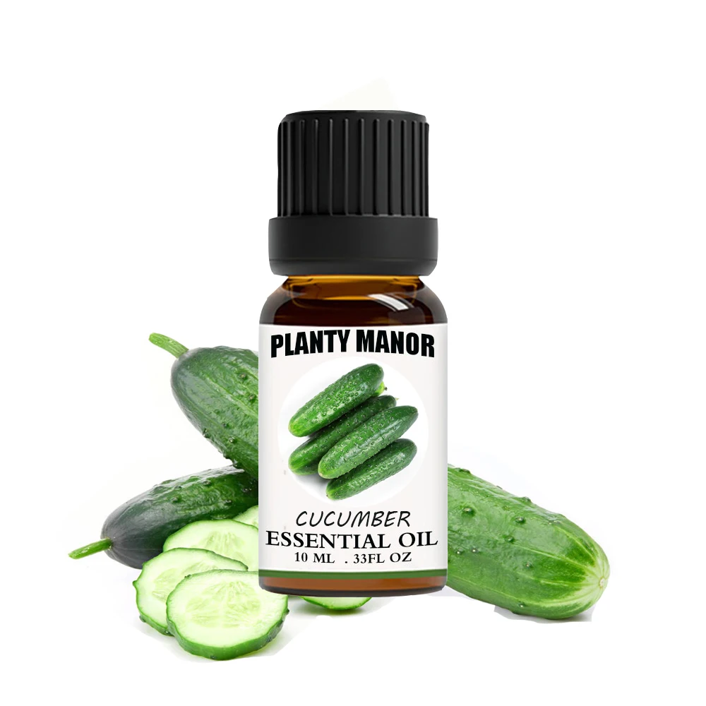 High Quality 100% Natural Products Fresh Food Grade Green Cucumber for Export 2023